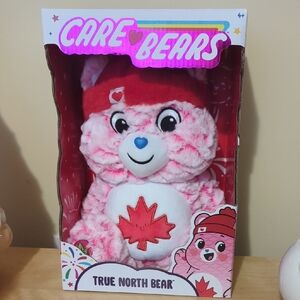 Care Bears Brand New True North Bear